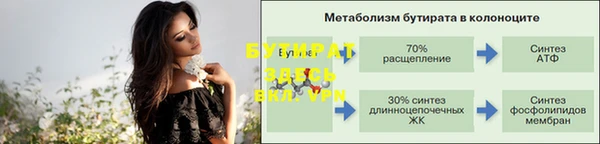 молекула духа Кулебаки